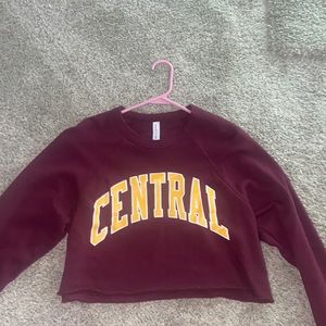 Brand: Bella + Canvas Size medium Central Cropped Crew neck